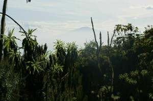 Kilimanjaro Machame
