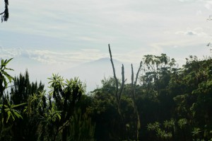 Kilimanjaro Machame