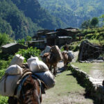 anmarsch Manaslu