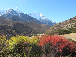 Vandra Everest Circuit