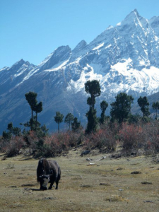 Manaslu Circuit