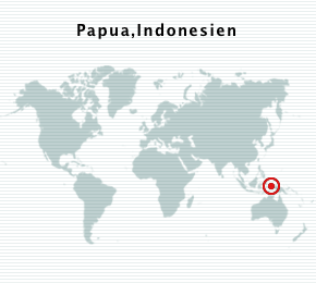 Karta Papua